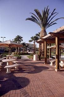 Mainsail Tampa Extended Stay Экстерьер фото